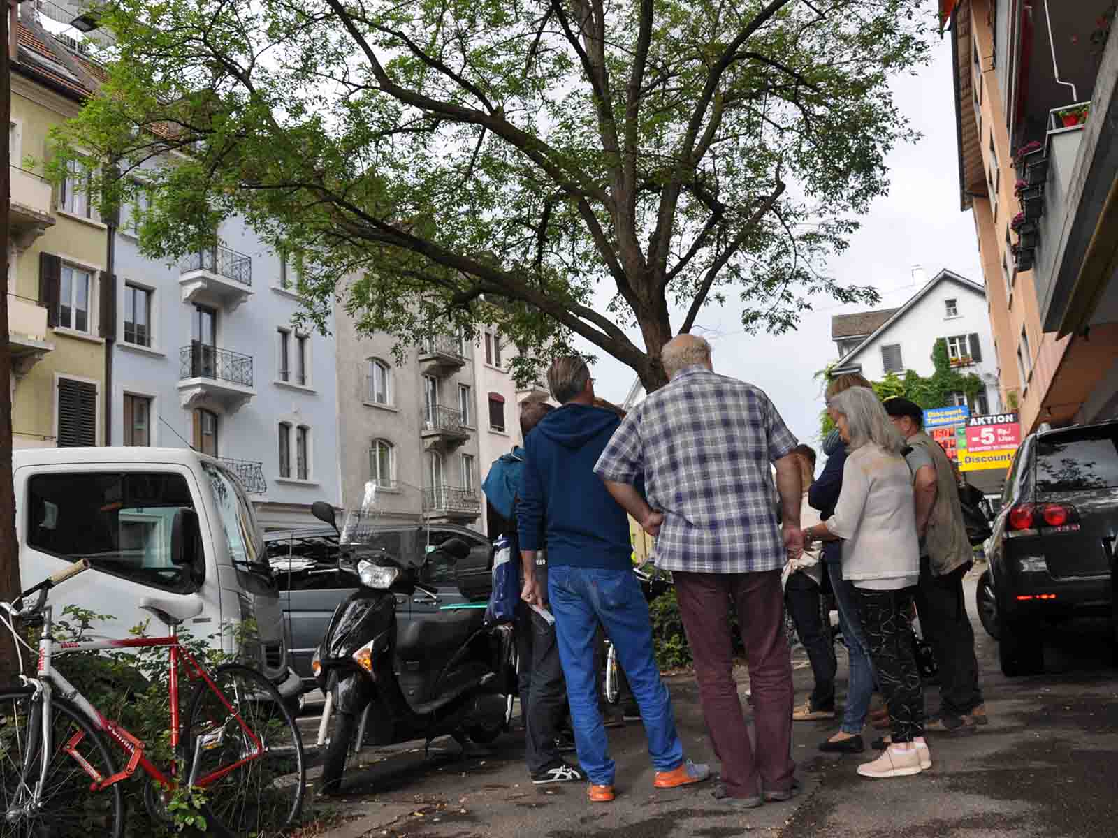 Einer der drei Bäume, der im Zuge der Sanierung Hönggerstrasse gefällt werden soll.