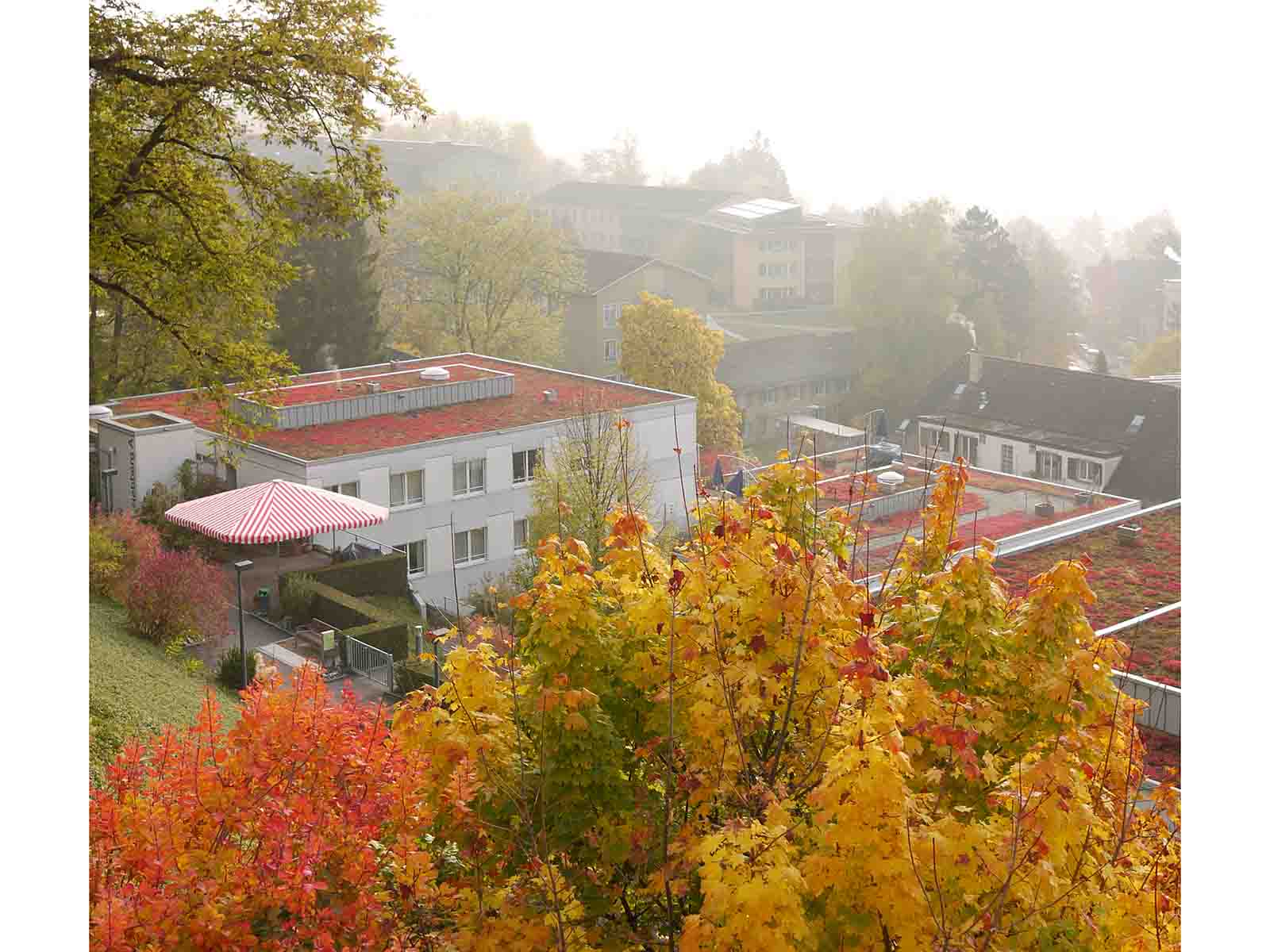 Herbstfarben im Rebberg-Areal.