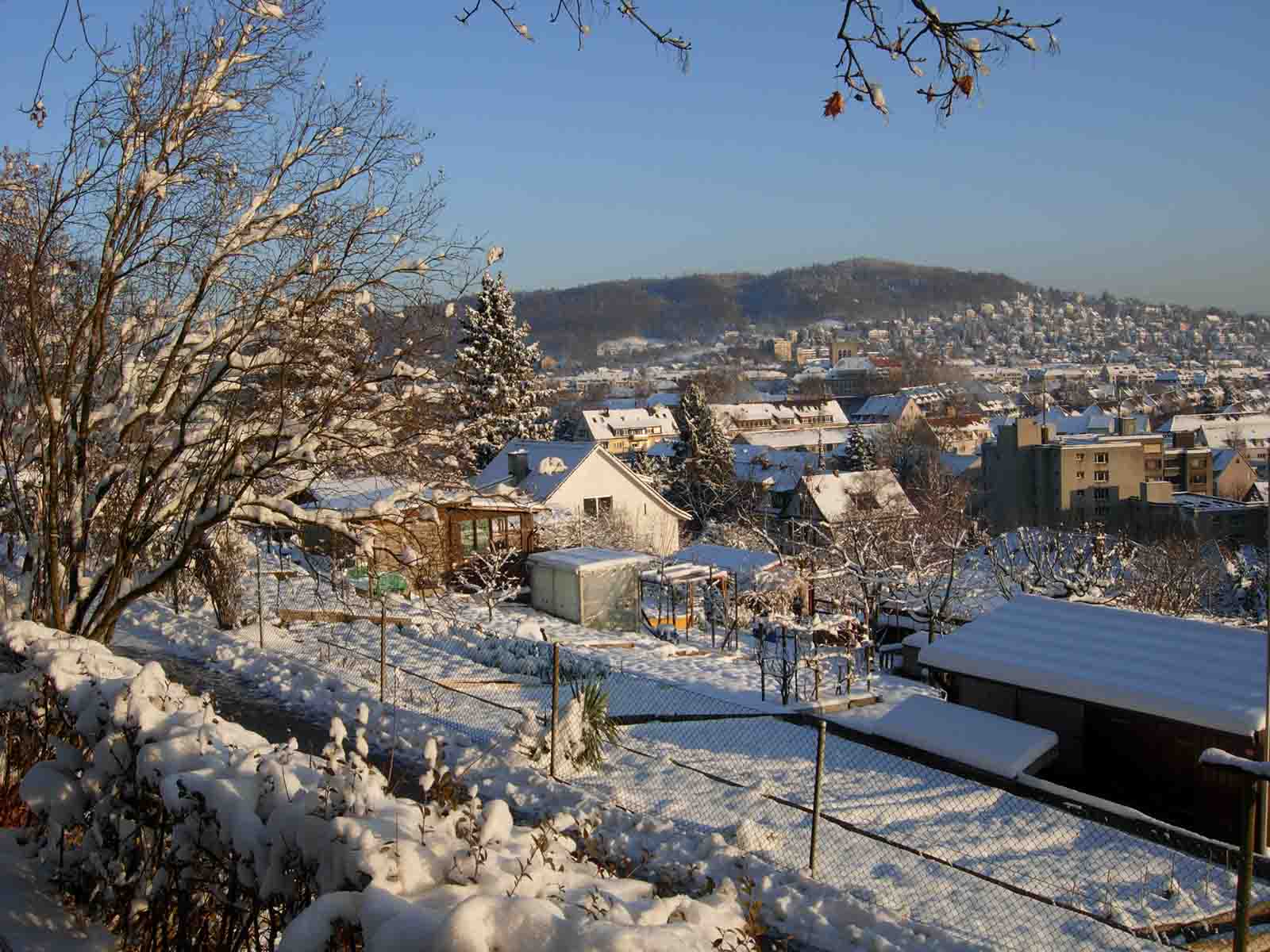 Schnee in Wipkingen – alljährlich eine Freude. Eine Einladung zum «lädele», spazieren und flanieren.