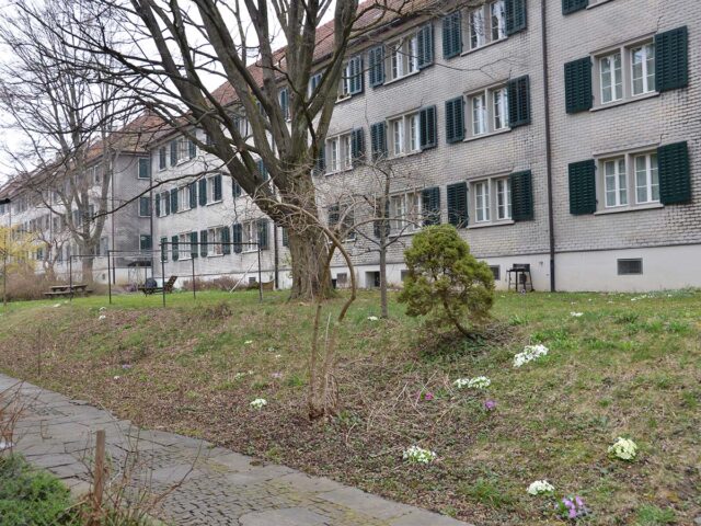 Von der «Wohnsiedlung Nordstrasse» zu den heutigen Schindelhäusern: eine lauschige Siedlung inmitten Wipkingens.